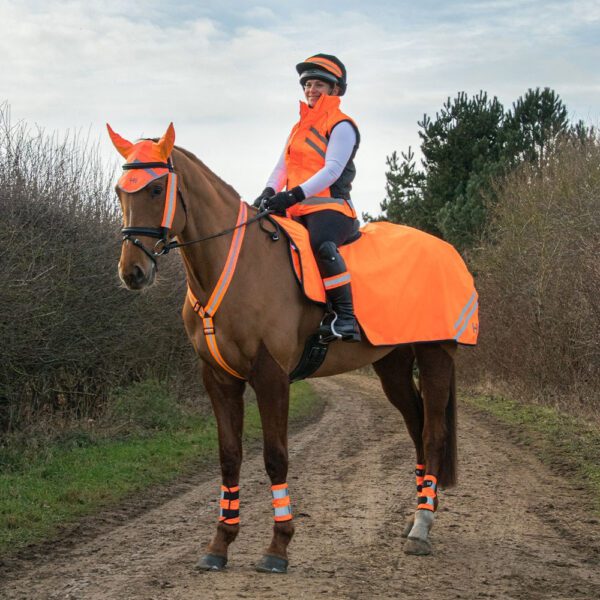 28086 Reflector Ear Bonnet by Hy Equestrian Orange 02 - Hertfordshire Tak Shak