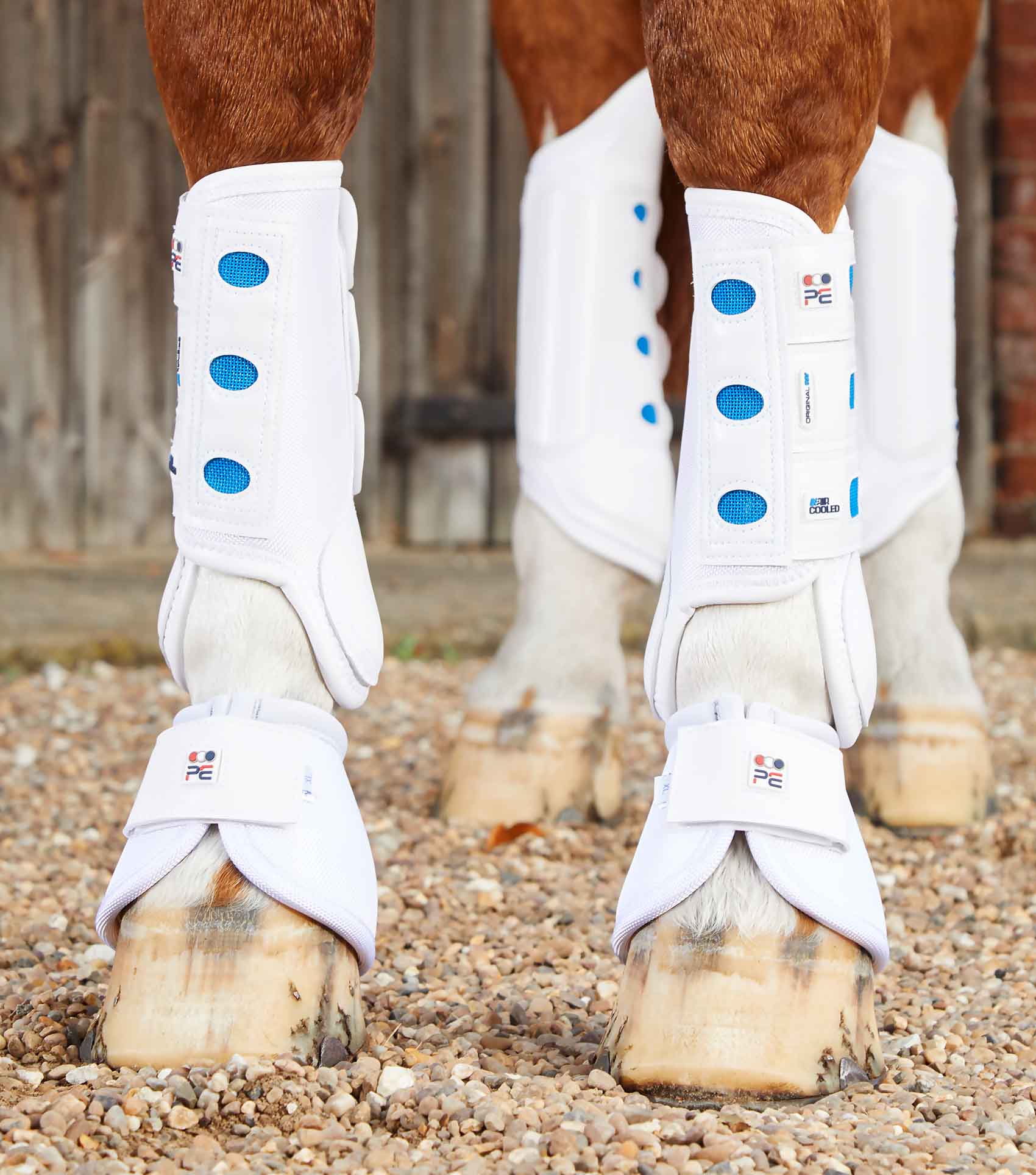 Air Cooled Original Eventing Boots - Image 11