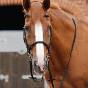 Altare Web Reins