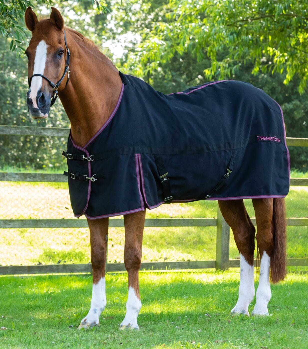 Barrasso Stable Sheet