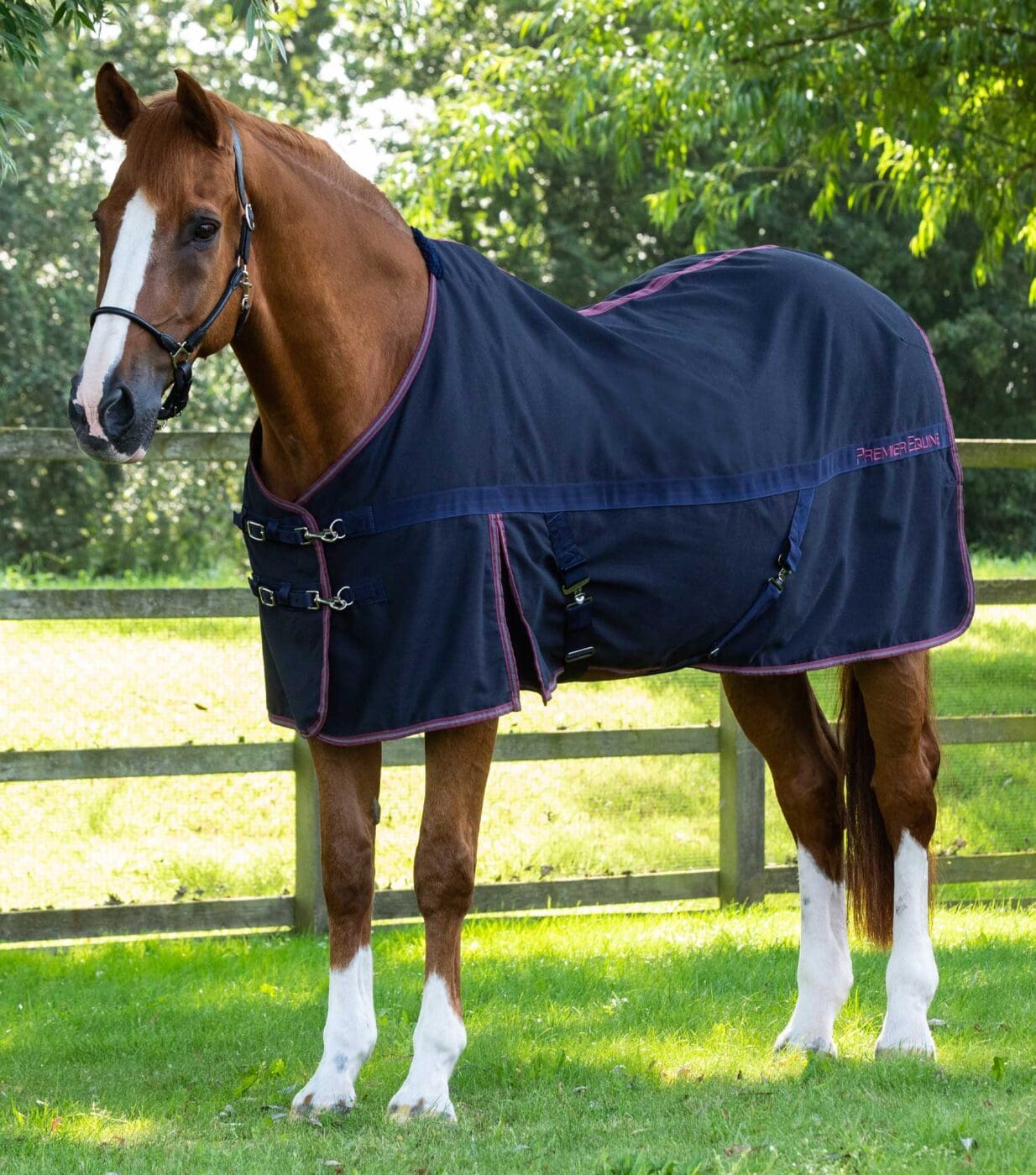 Barrasso Stable Sheet - Image 6