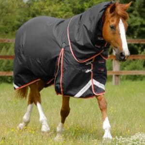 Buster 100g Turnout Rug with Snug-Fit Neck Cover