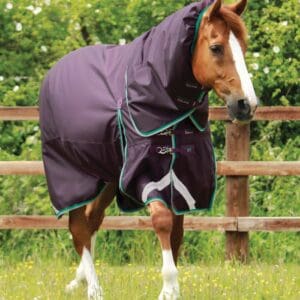 Buster 200g Turnout Rug with Snug-Fit Neck Cover