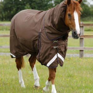 Buster 400g Turnout Rug with Snug-Fit Neck Cover
