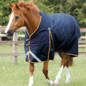Buster 50g Original Turnout Rug