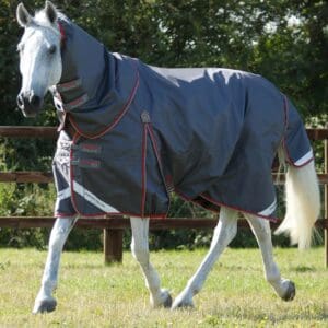 Buster 50g Turnout Rug with Snug-Fit Neck Cover