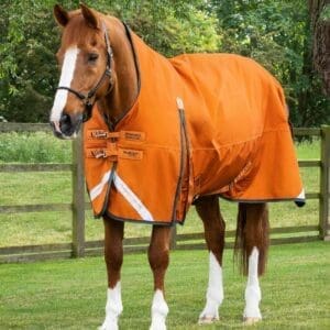 Buster Hardy 400g Half Neck Turnout Rug