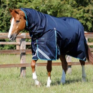 Buster Storm 100g Combo Turnout Rug with Snug-Fit Neck