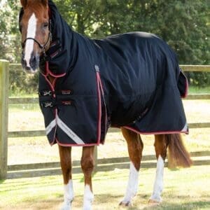 Buster Storm 400g Combo Turnout Rug with Snug-Fit Neck