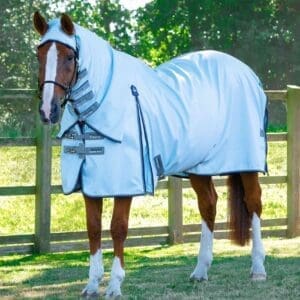 Buster Sweet Itch Fly Rug with Surcingles