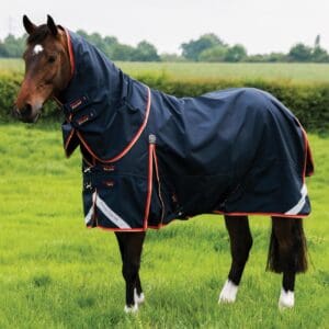 Buster Zero Turnout Rug with Classic Neck Cover