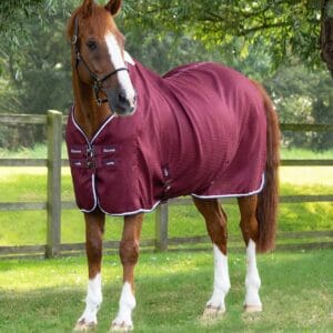 Buster Waffle Horse Cooler Rug