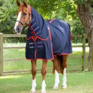 Combo Horse Stable Sheet