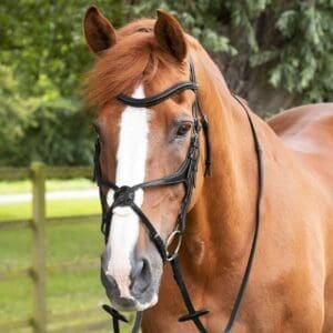Diego Rubber Reins