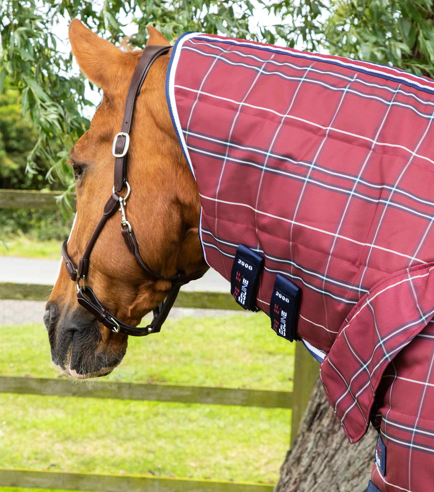 Domus 200g Combo Stable Rug - Image 2