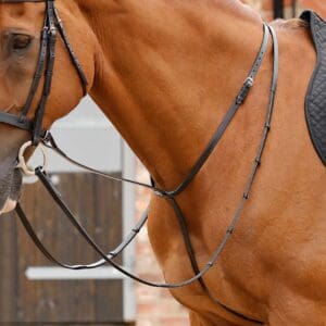 Gressan Standing Martingale