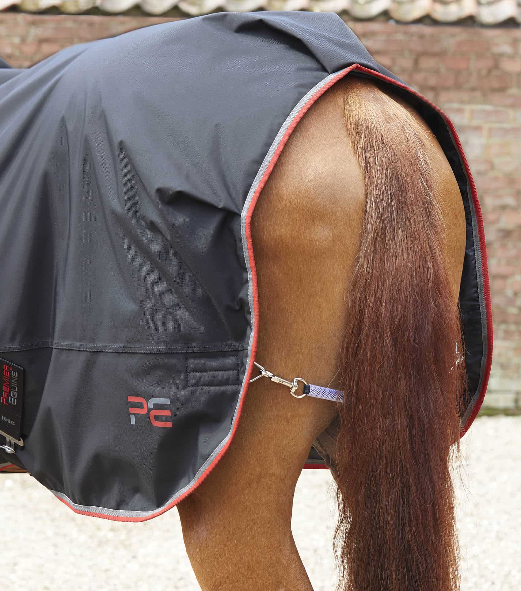Horse Walker Rug 100g - Image 6