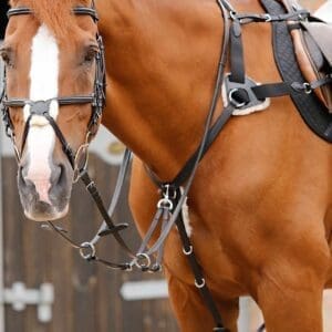 Invorio 5 Point Breastplate