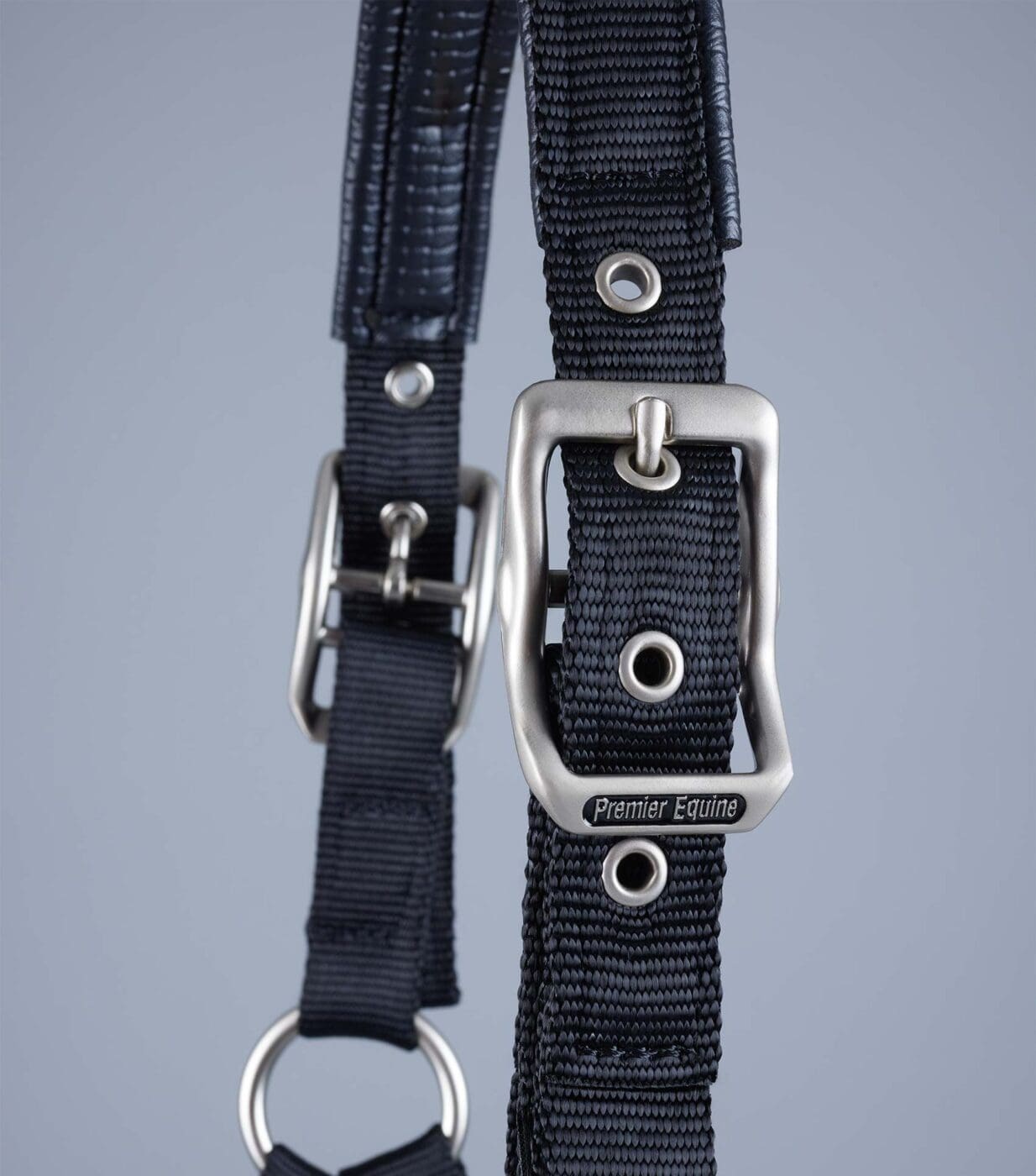 Plain Padded Horse Head Collar - Image 5