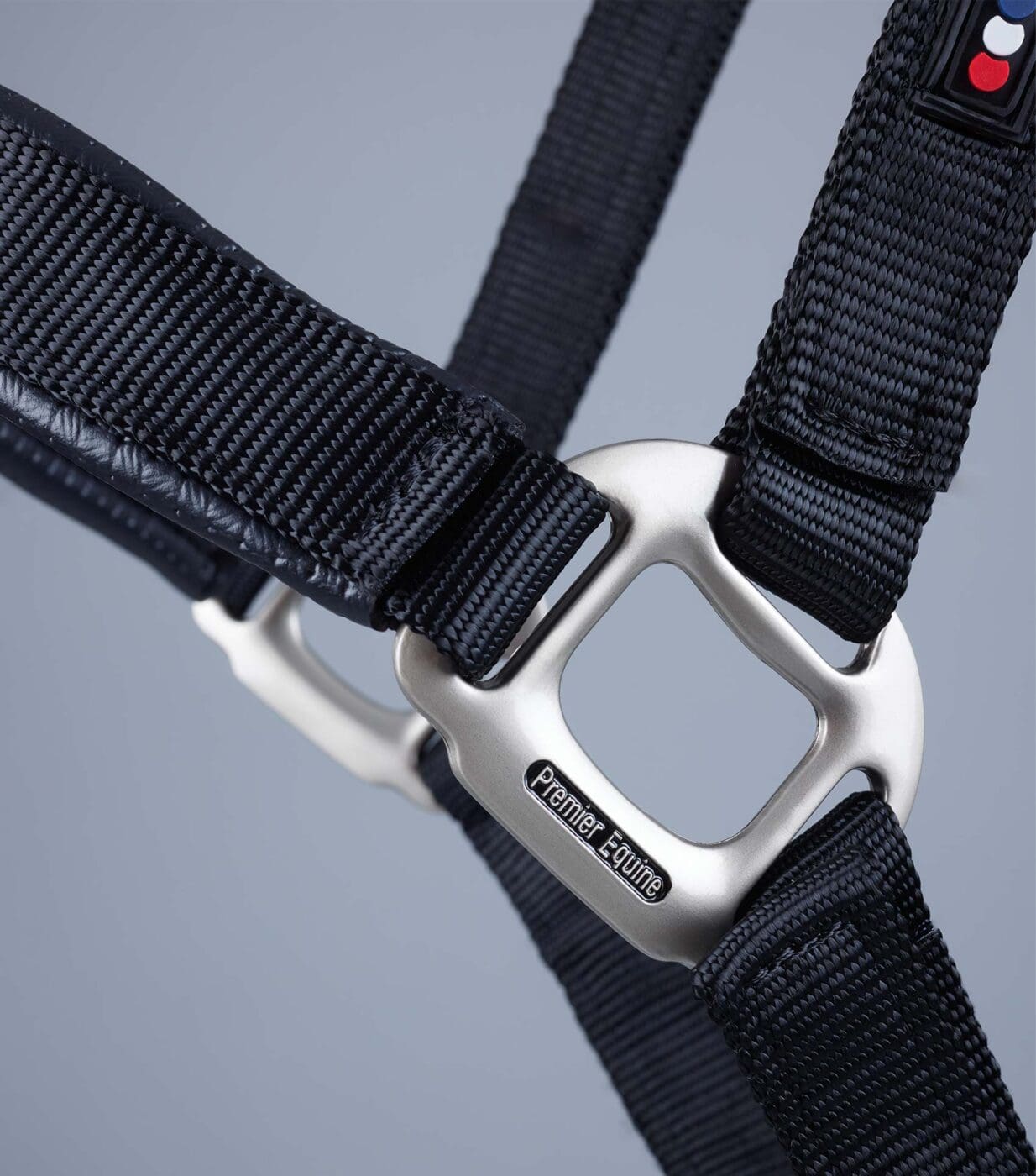 Plain Padded Horse Head Collar - Image 8