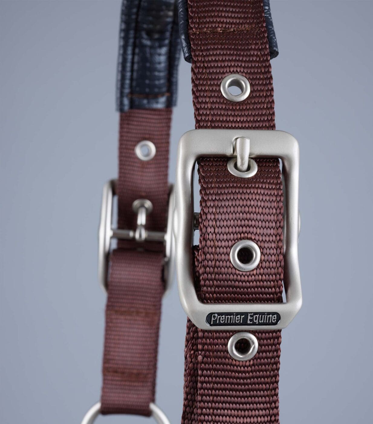 Plain Padded Horse Head Collar - Image 12