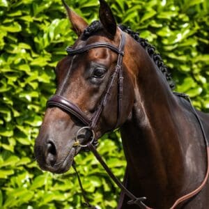 Verdura Anatomic Snaffle Bridle