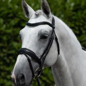 Rizzo Anatomic Snaffle Bridle with Flash