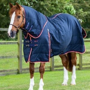 Stable Buster 100g Stable Rug with Neck Cover