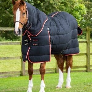 Stable Buster 450g Stable Rug with Neck Cover