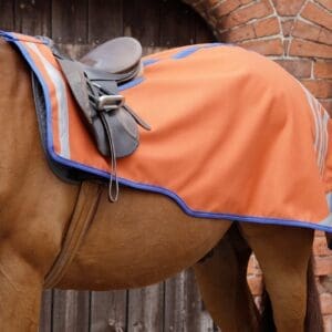 Stratus Horse Exercise Sheet