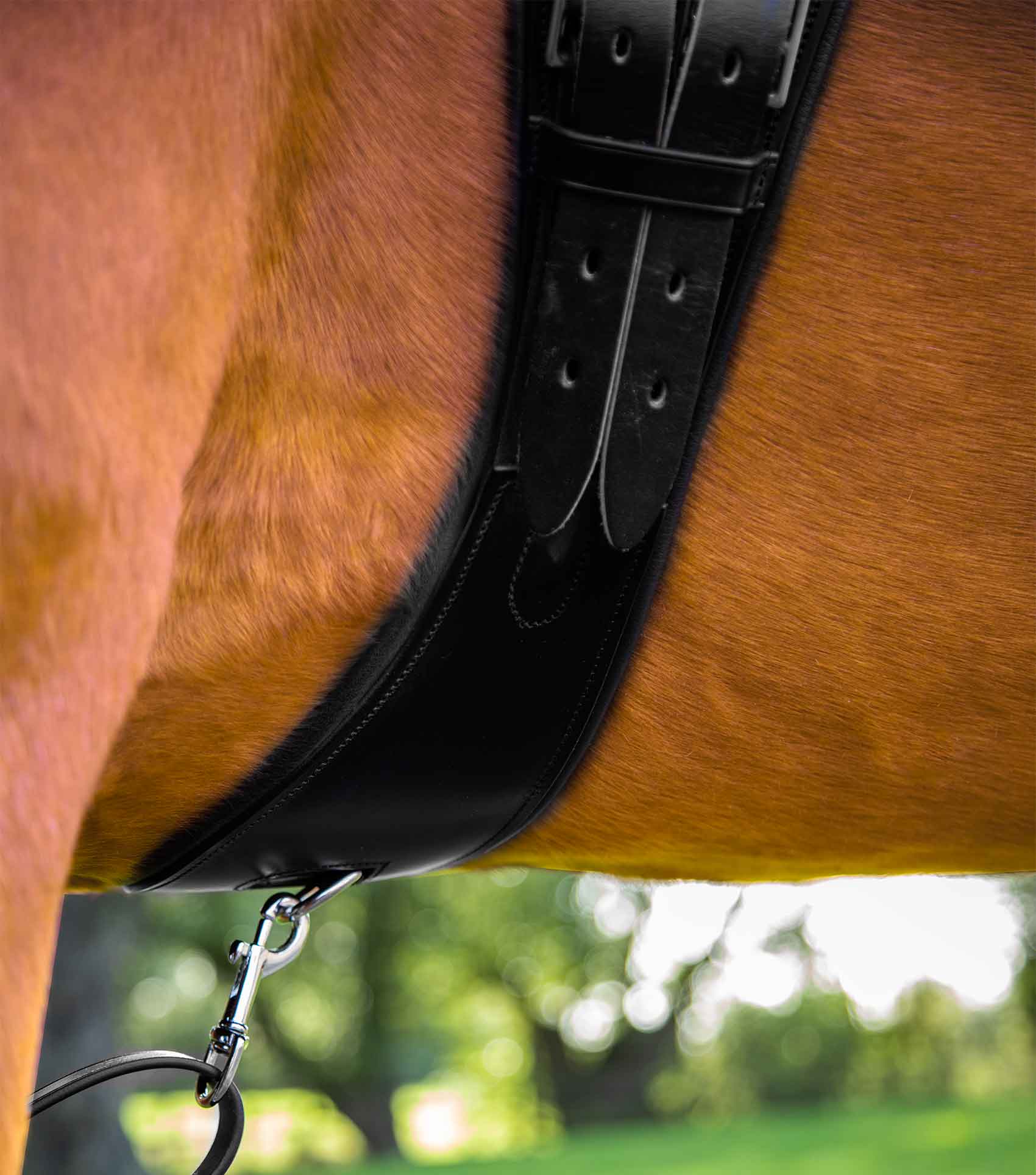 Tamarro Anatomic Leather Girth - Image 3