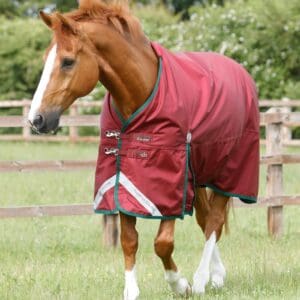 Titan 100g Original Turnout Rug
