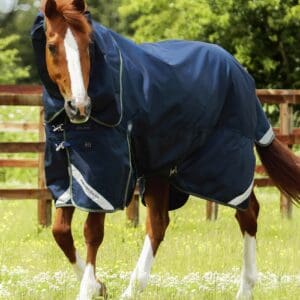 Titan 40g Turnout Rug with Snug-Fit Neck Cover