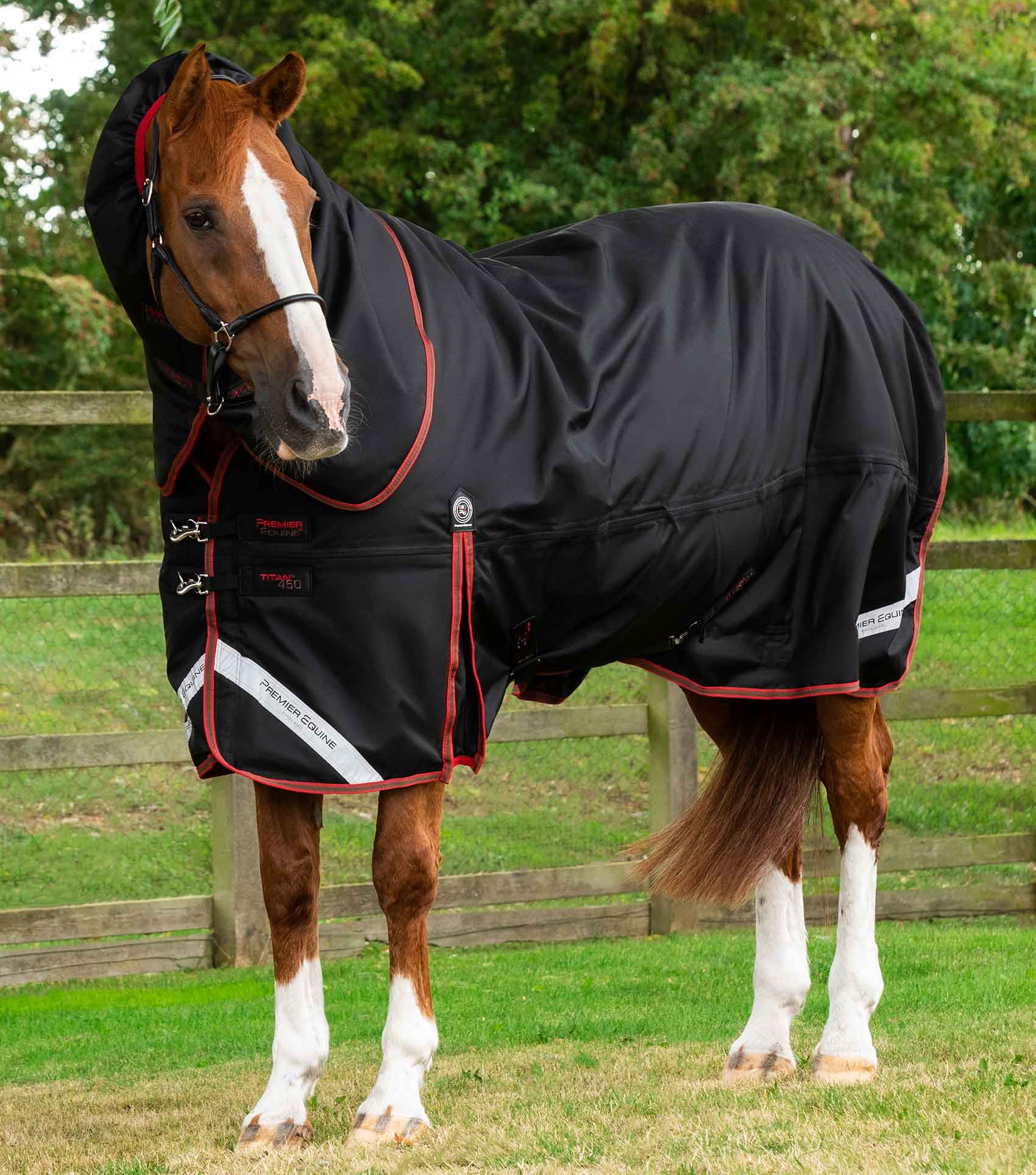 Titan 450g Turnout Rug with Snug-Fit Neck Cover