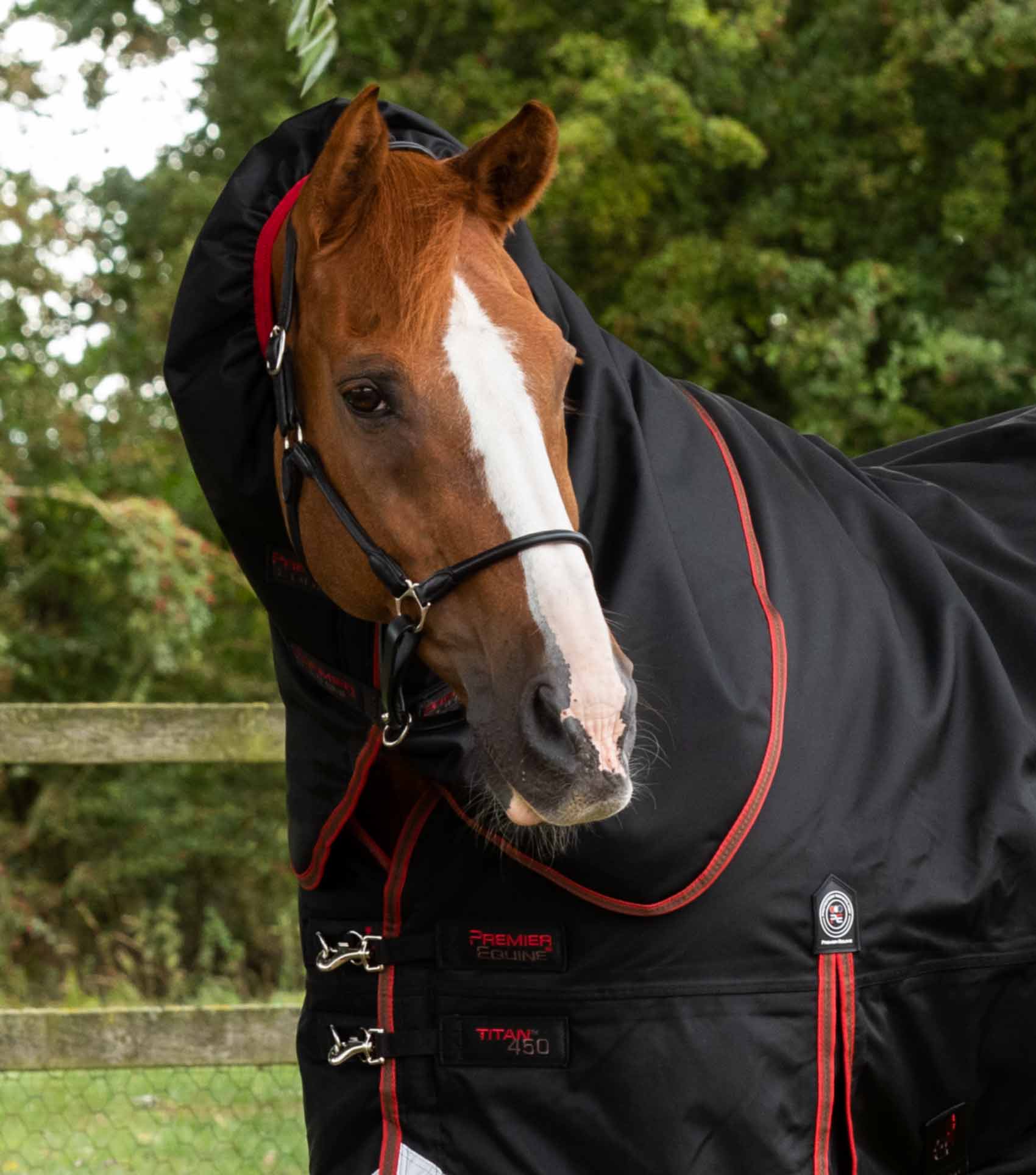 Titan 450g Turnout Rug with Snug-Fit Neck Cover - Image 2