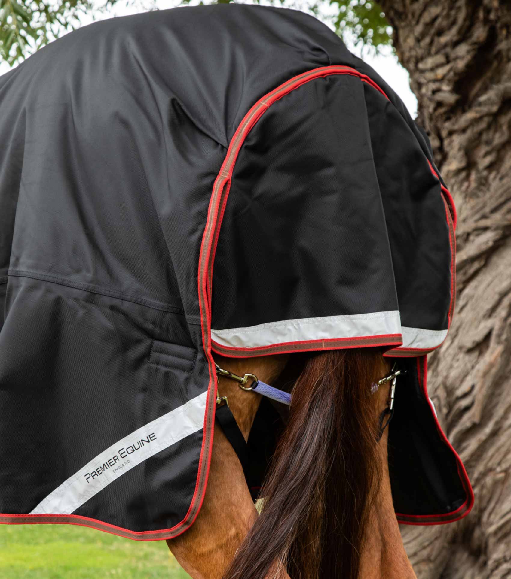 Titan 450g Turnout Rug with Snug-Fit Neck Cover - Image 5