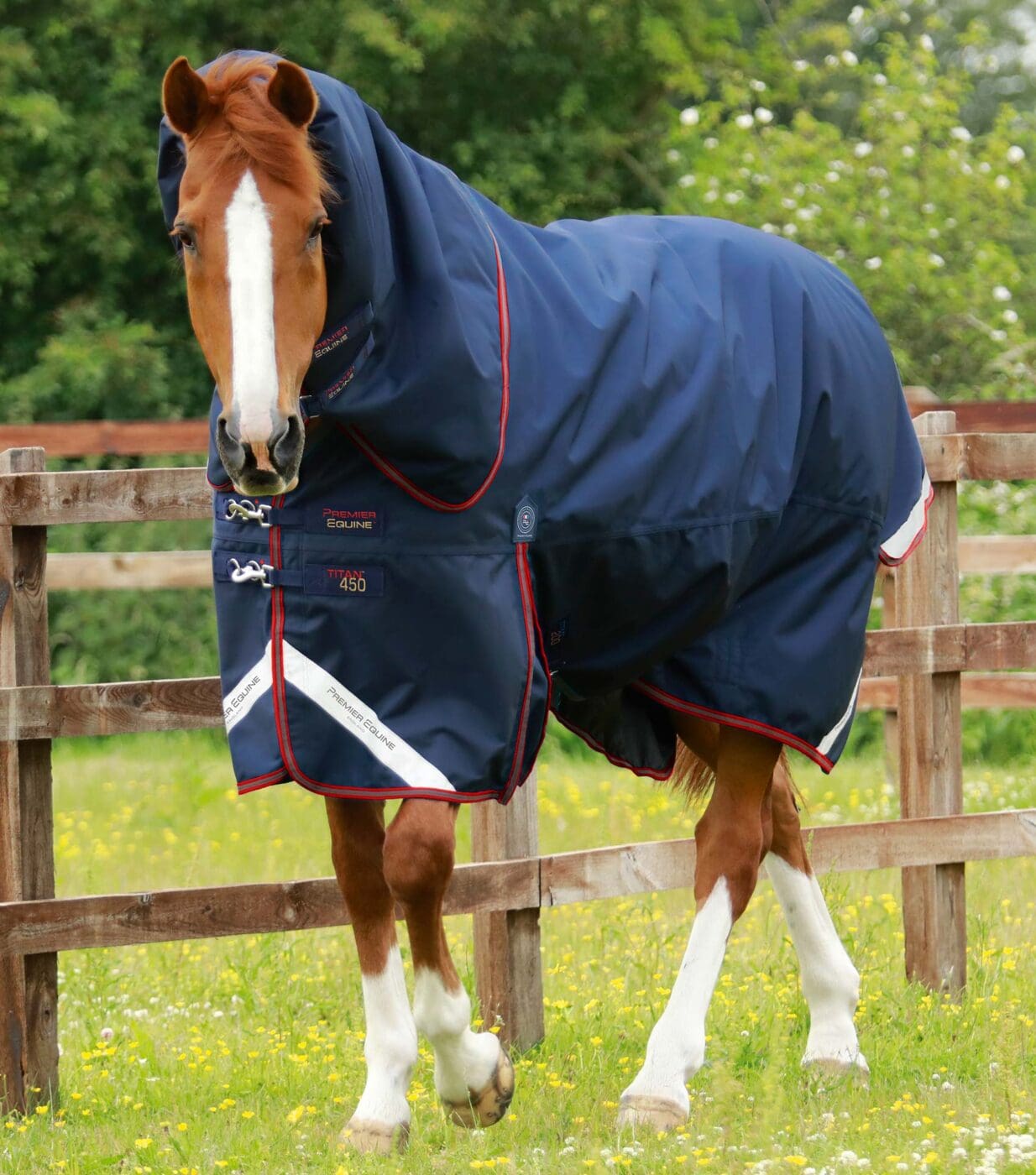 Titan 450g Turnout Rug with Snug-Fit Neck Cover - Image 6