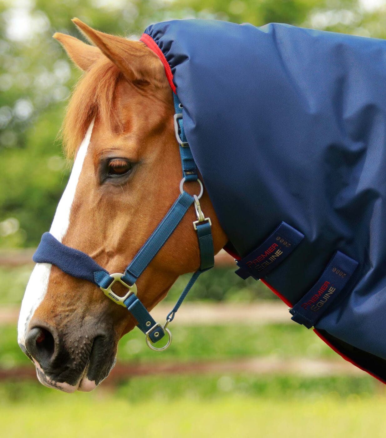Titan 450g Turnout Rug with Snug-Fit Neck Cover - Image 7