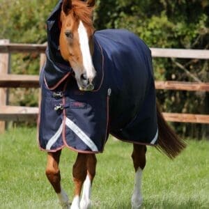 Titan Trio Complete 4 in 1 Turnout Rug