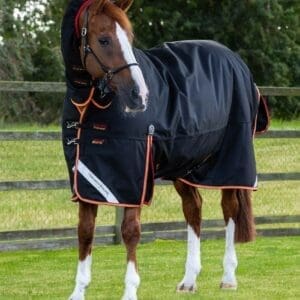Titan Storm 450g Combo Turnout Rug with Snug-Fit Neck