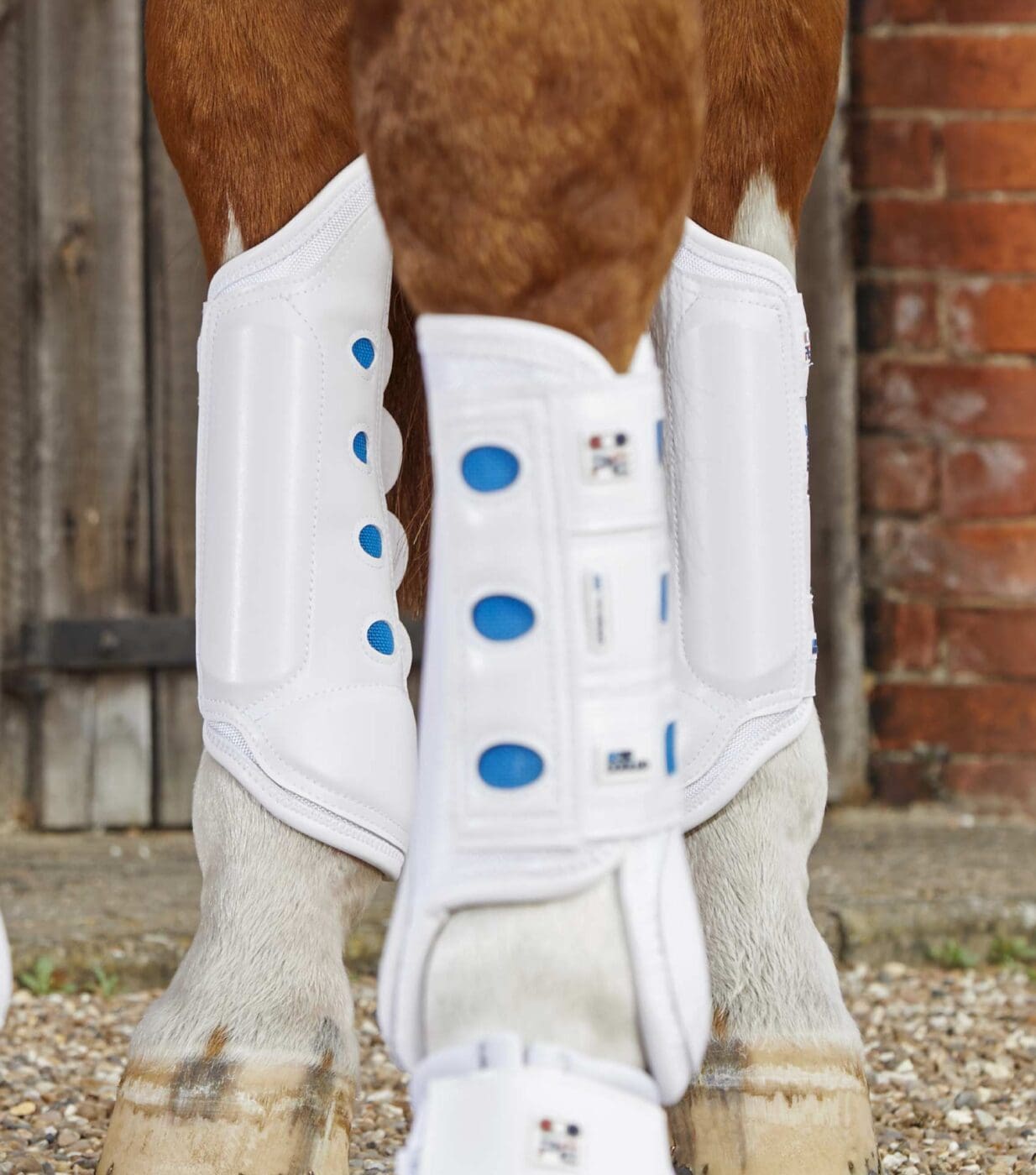 Air Cooled Original Eventing Boots - Image 12