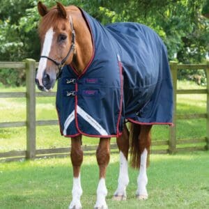 Buster Hardy 200g Half Neck Turnout Rug
