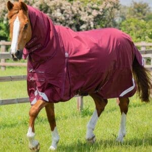 Buster Storm 90g Combo Turnout Rug with Classic Neck