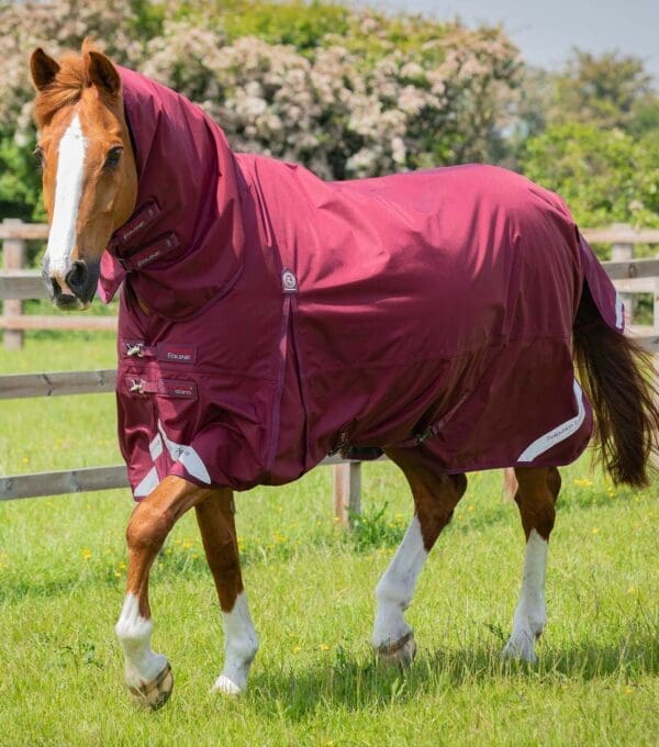 Buster Storm 90g Combo Turnout Rug with Classic Neck
