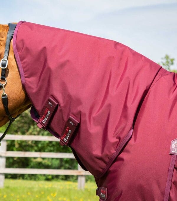 Buster Storm 90g Combo Turnout Rug with Classic Neck - Image 2