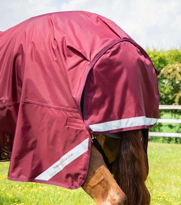 Buster Storm 90g Combo Turnout Rug with Classic Neck - Image 5
