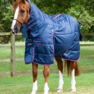 Combo Stable Rug 200g