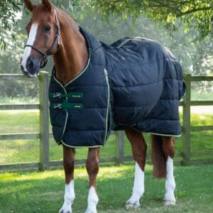 Lucanta Demi Stable 450g