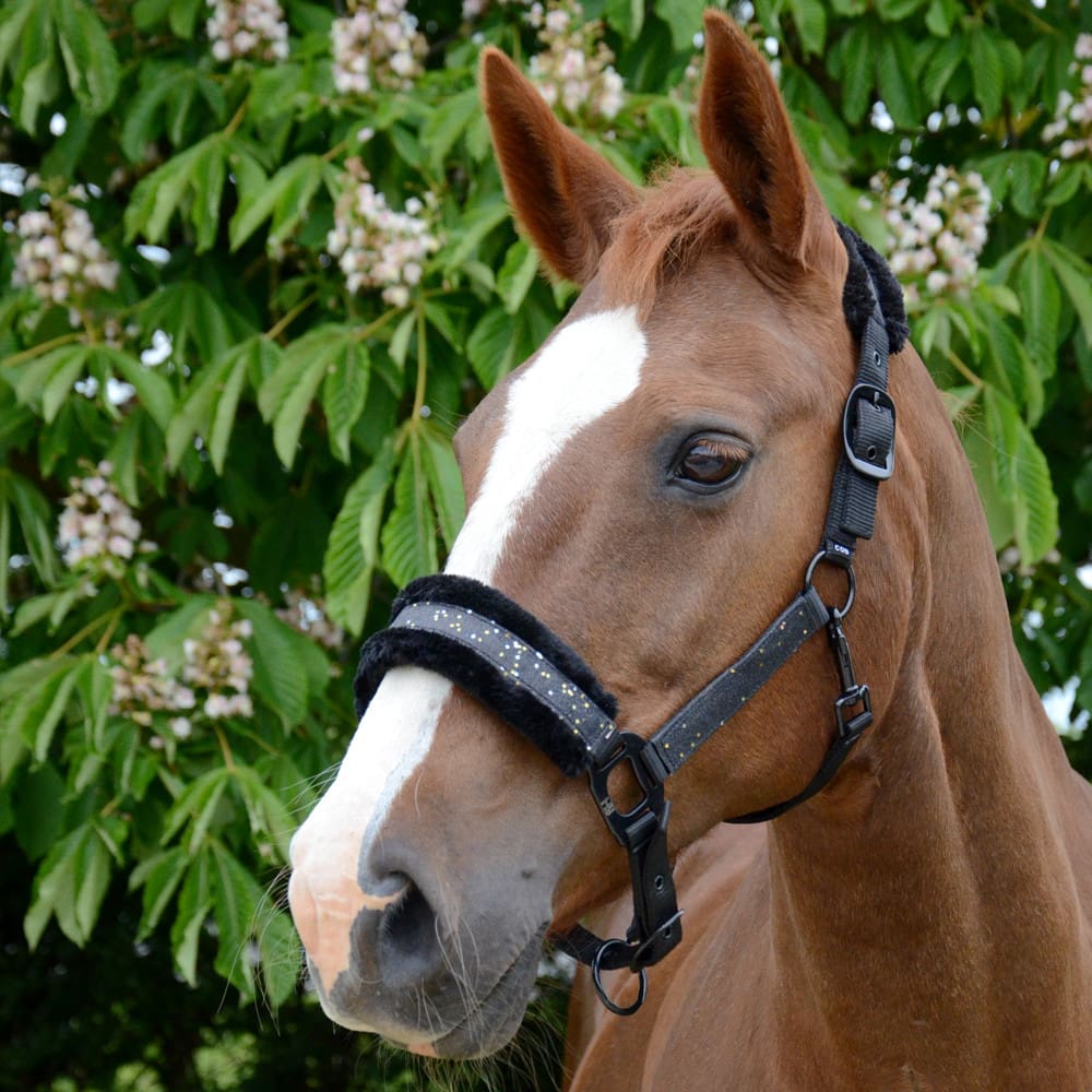Hy Equestrian Dazzle Head Collar - Image 8