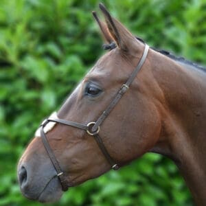 Hy Equestrian Mexican Grackle Noseband
